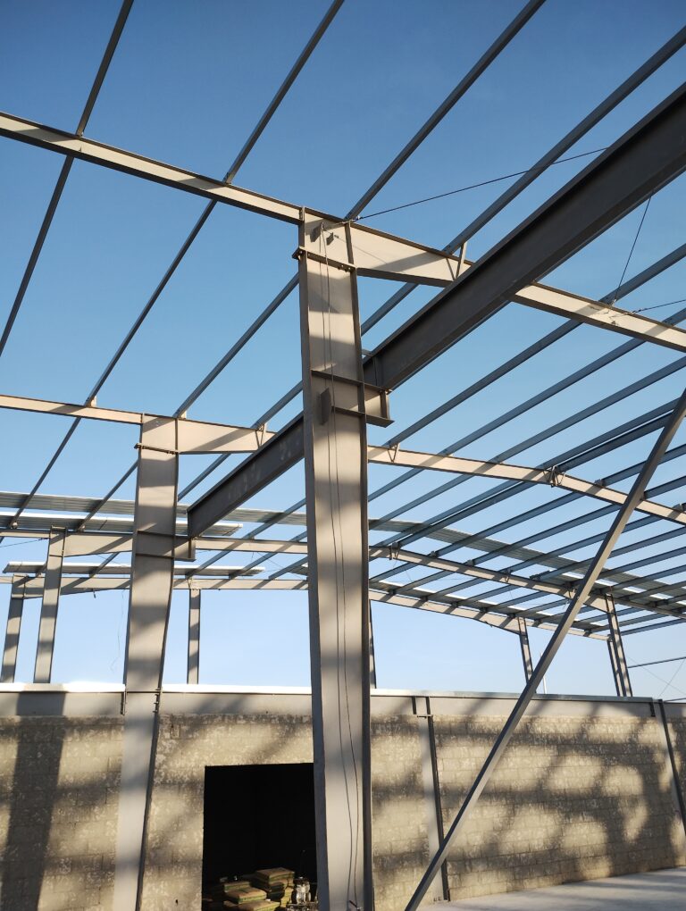 IMG_٢٠٢٣٠٧٠٨_٠٥٥٤٤٦٥٤٦